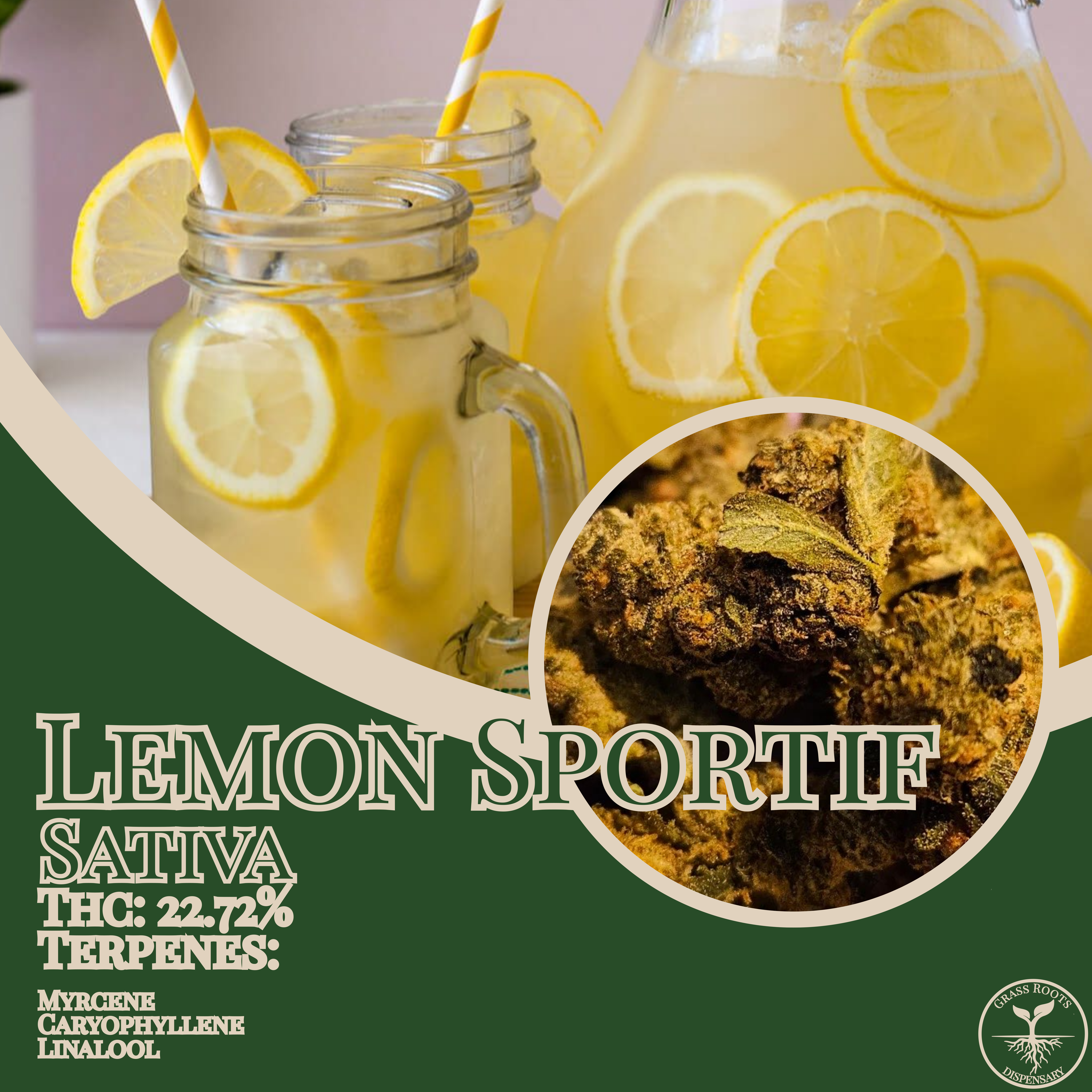 Lemon Sportif strain of the week graphic from Grass Roots Kentucky