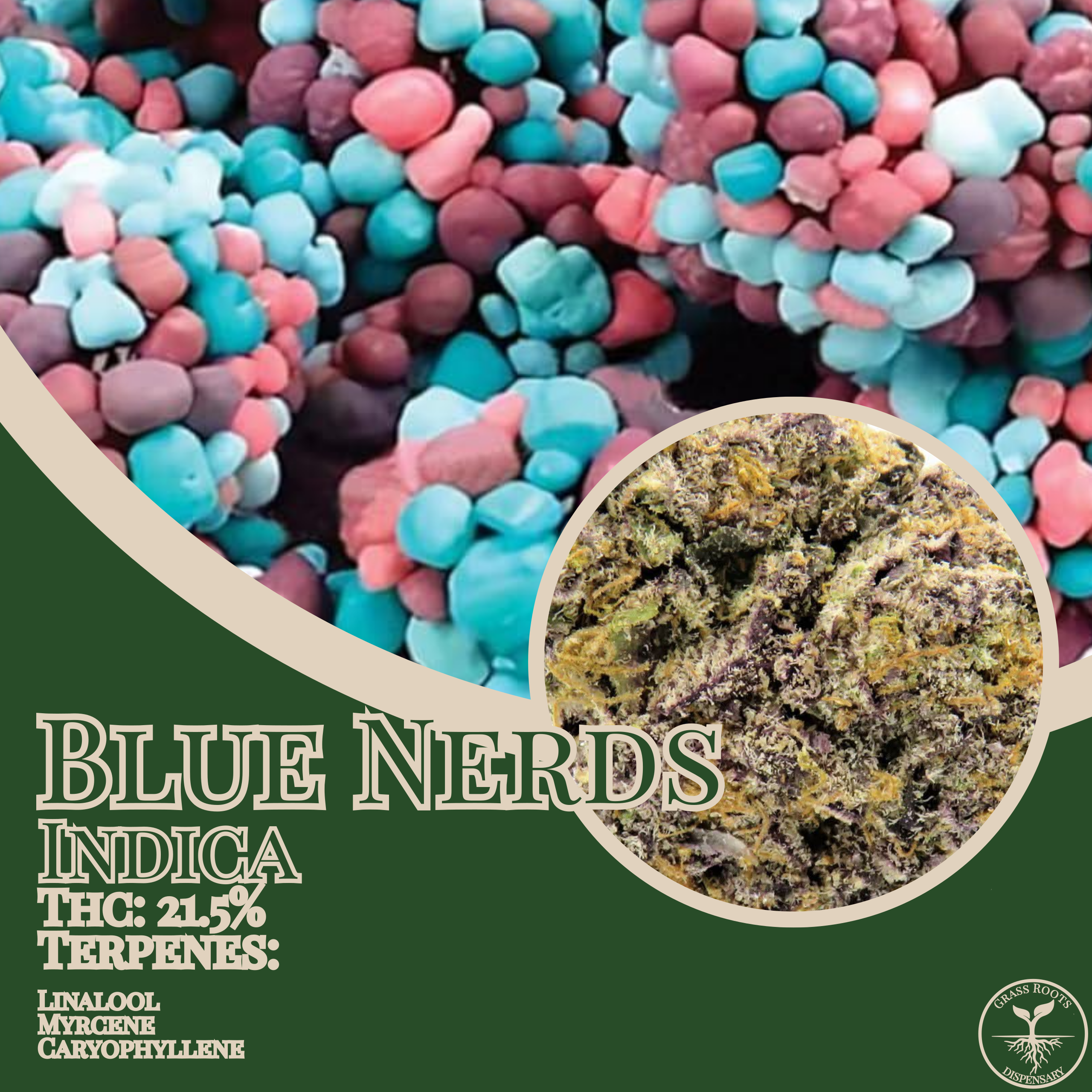 Blue Nerds strain of the week graphic from Grass Roots Kentucky