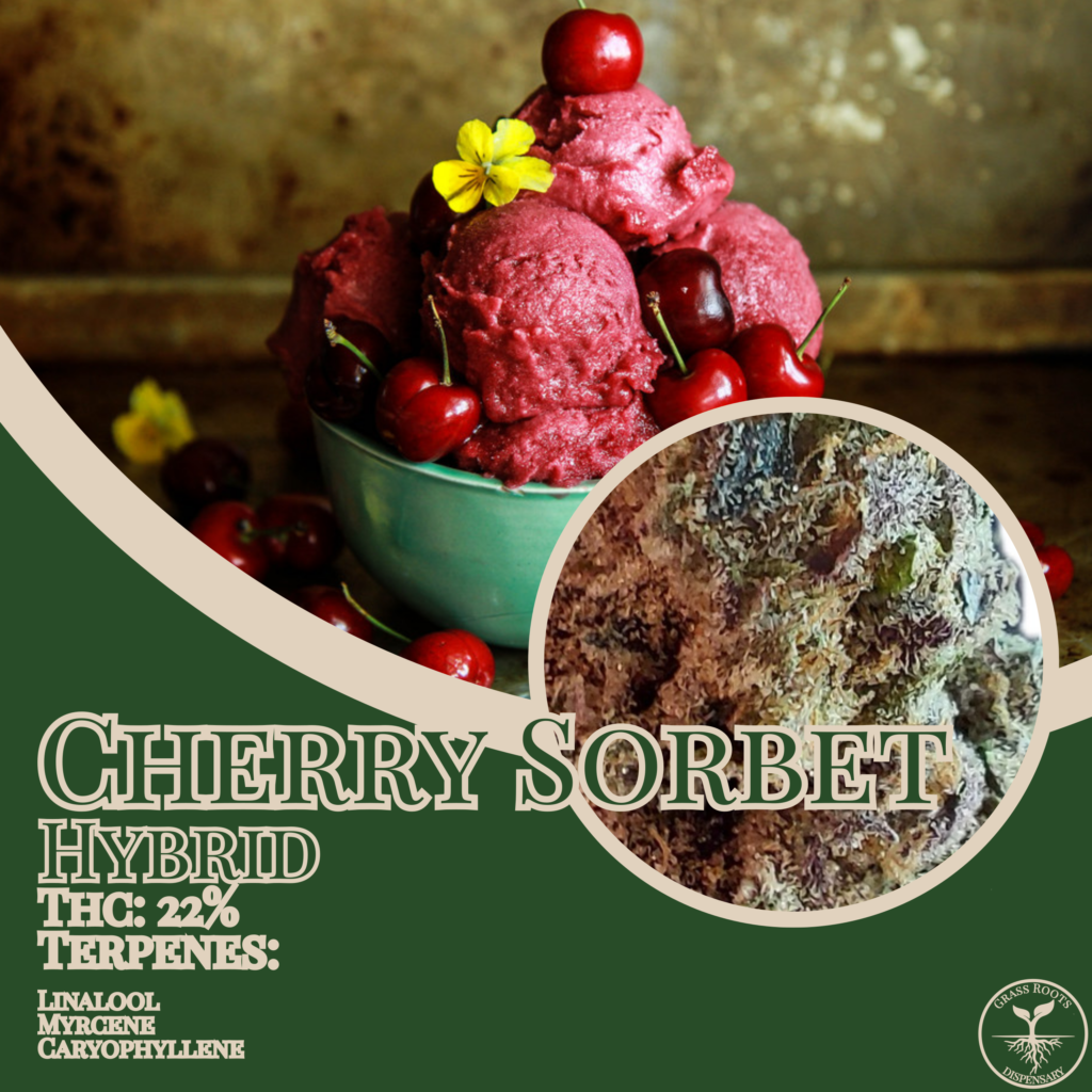 Cherry Sorbet