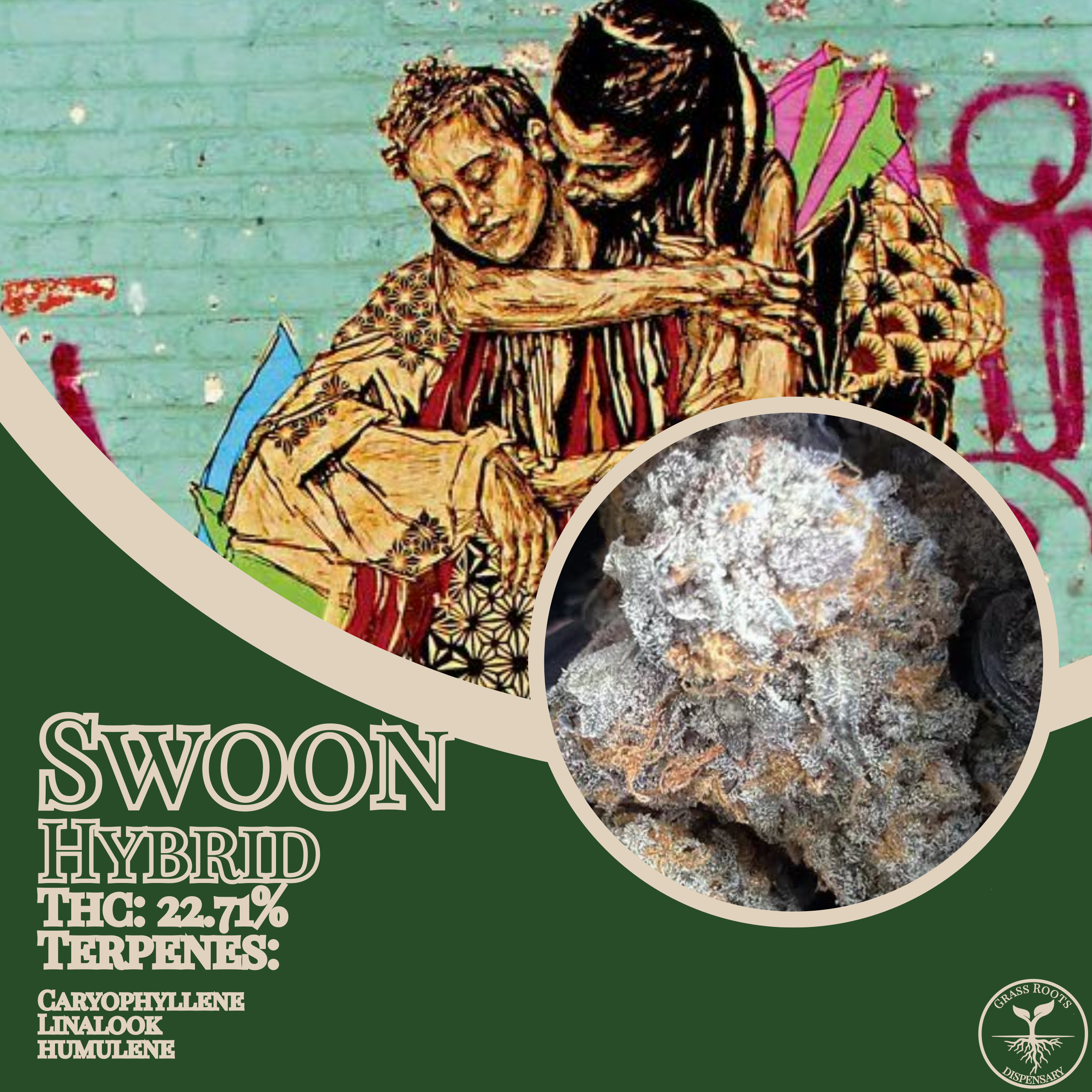 Swoon strain of the week graphic from Grass Roots Kentucky